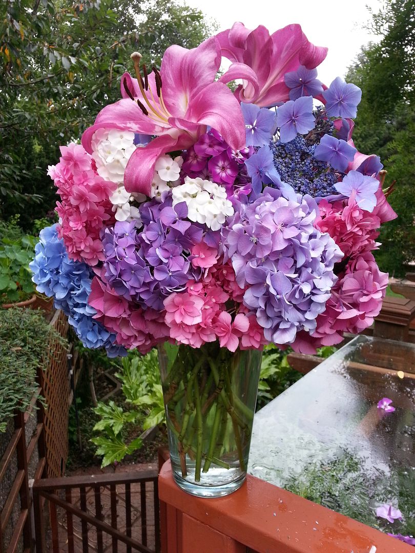  photo 20140722_163230_zpsnlci8fg3.jpg